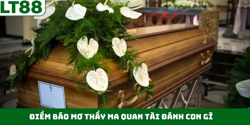 Mơ thấy quan tài đánh con gì với hình ảnh màu đen Mơ thấy quan tài đánh con gì với hình ảnh màu đen