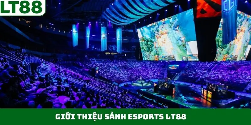 Nội dung cơ bản cần biết về Esports LT88 Nội dung cơ bản cần biết về Esports LT88