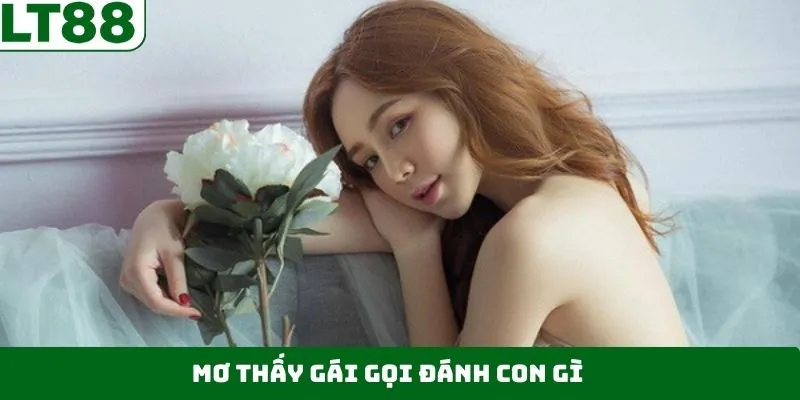 Mơ Thấy Gái Gọi Đánh Con Gì – Khám Phá Con Số Cùng LT88