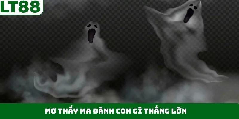 Tập hợp số đề nên đánh khi mộng thấy ma Tập hợp số đề nên đánh khi mộng thấy ma