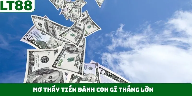 Mơ thấy tiền đánh con gì để đem về phần thưởng thắng lớn Mơ thấy tiền đánh con gì để đem về phần thưởng thắng lớn